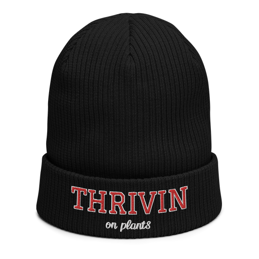 Thrivin Varsity Organic Ribbed Beanie