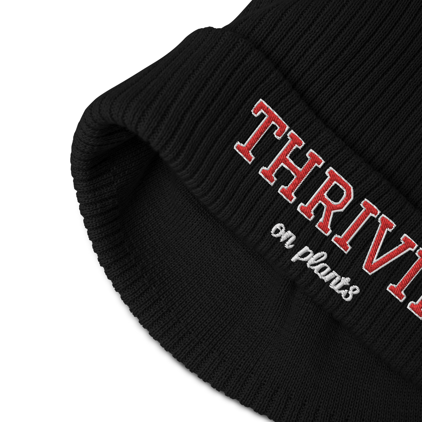 Thrivin Varsity Organic Ribbed Beanie