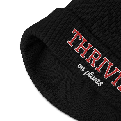 Thrivin Varsity Organic Ribbed Beanie