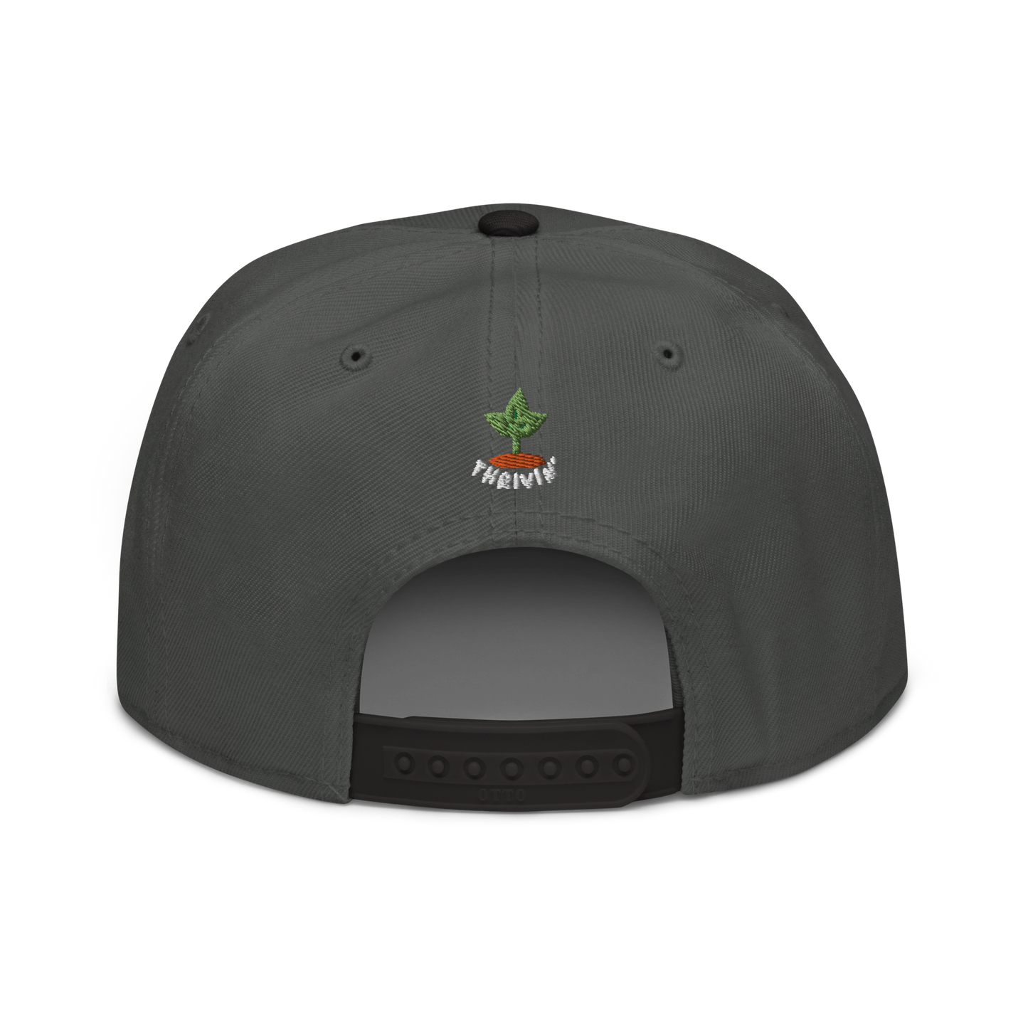 Beets Snapback
