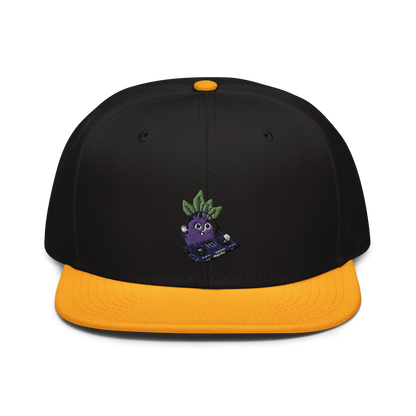 Beets Snapback
